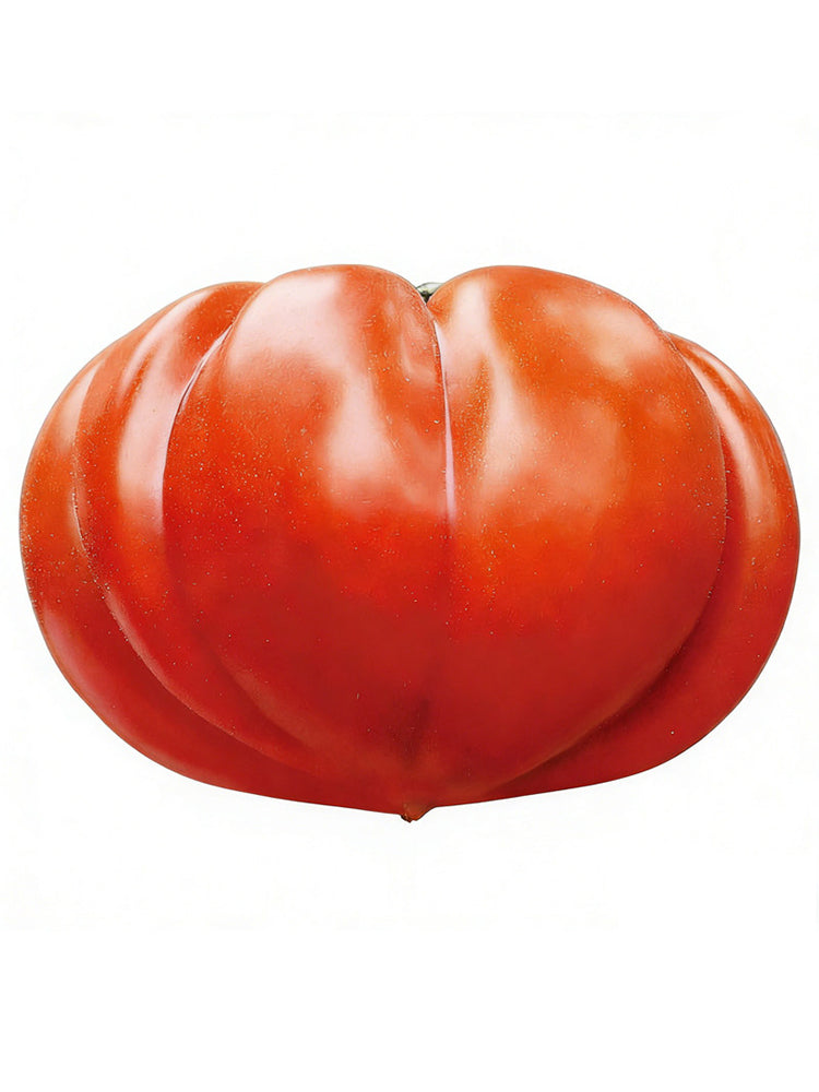 'Firenza' Ribbed Tomato