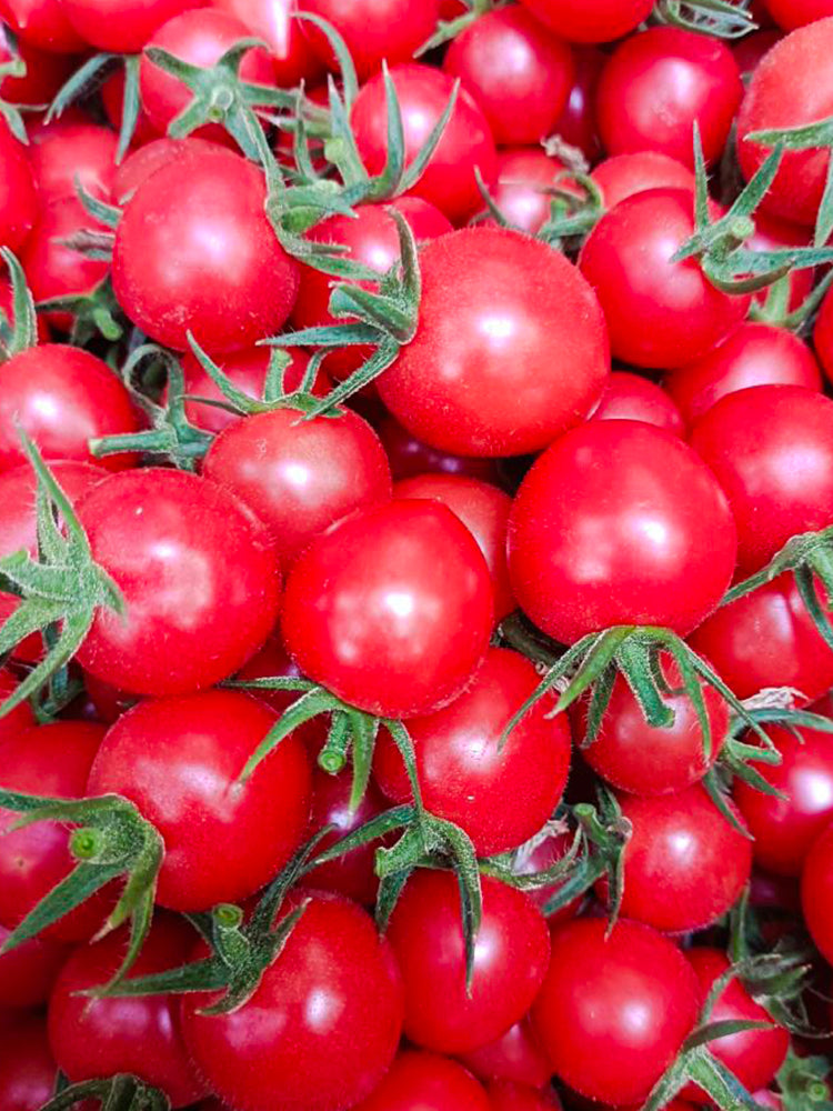 'Sweet Ruby Gem' Cherry Tomato