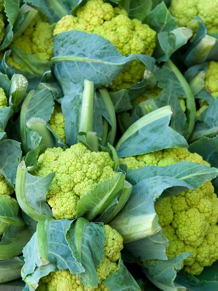 Green Cauliflower