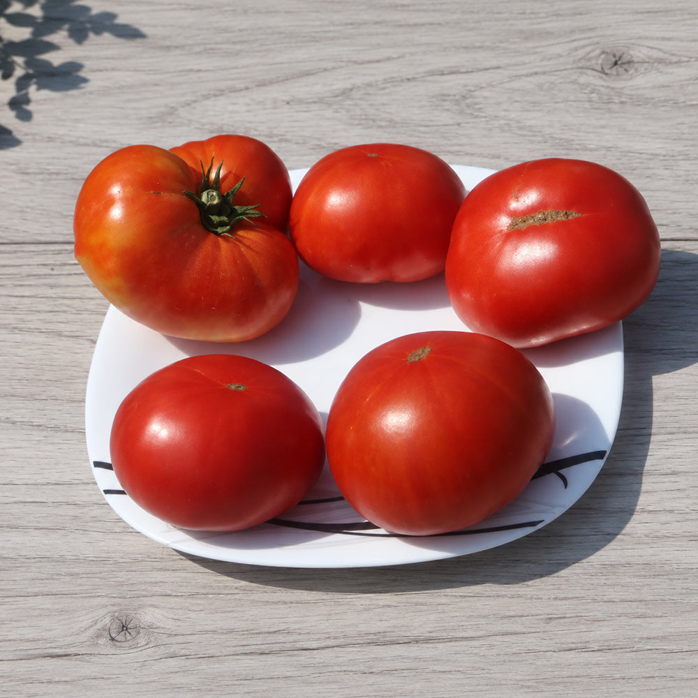 564 Clare Valley Red Tomato