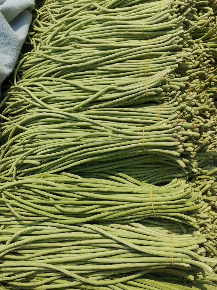 Jiemei No.6 Long Bean