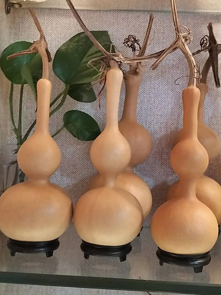 Xiaosan Ting Gourd