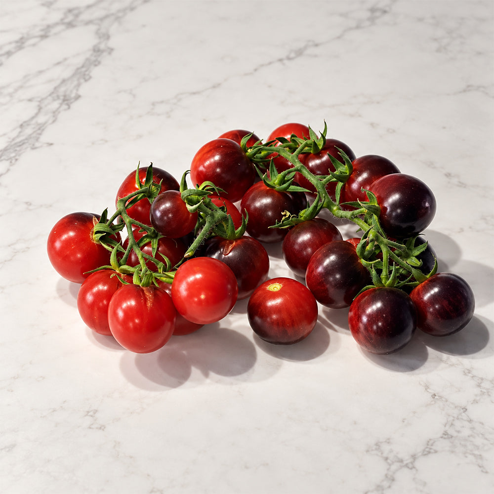 191 Märchenglanz (Fairytale Shine) Tomato