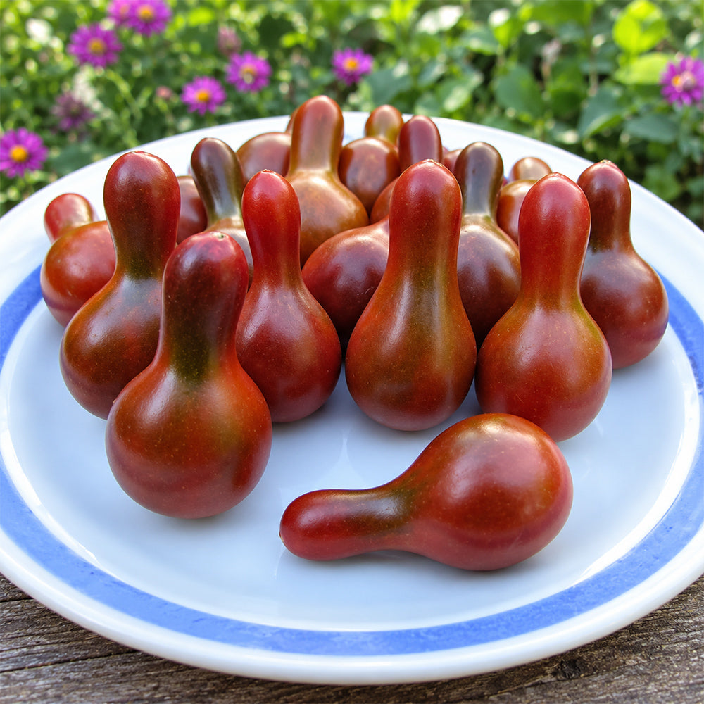 135 Cafe Bule Tomato