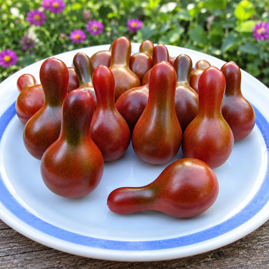 135 Cafe Bule Tomato