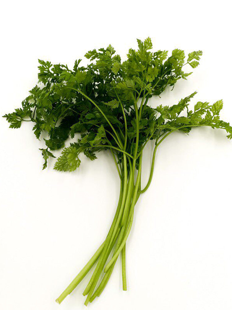 Italian Chervil