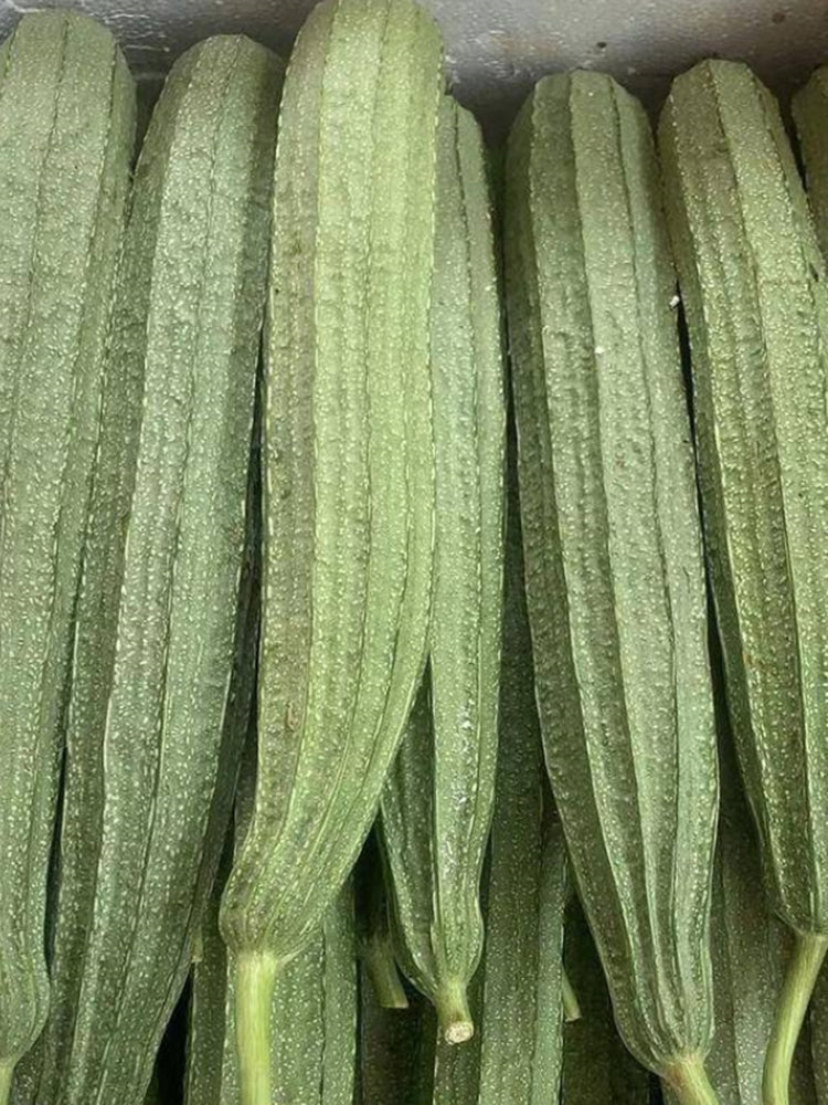 Jiemei Speckled Ridge Gourd