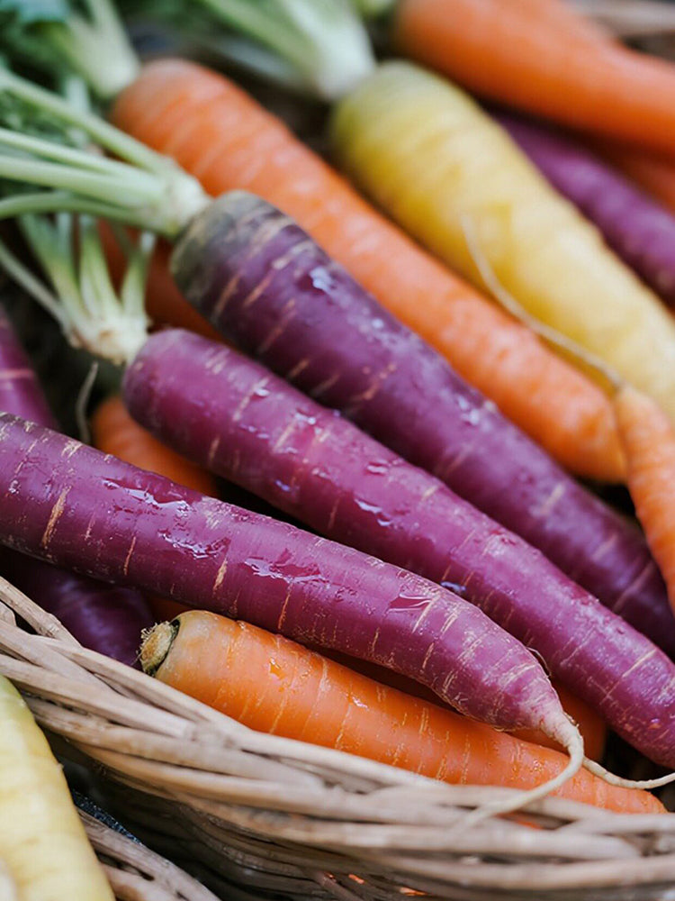 Rainbow Carrot