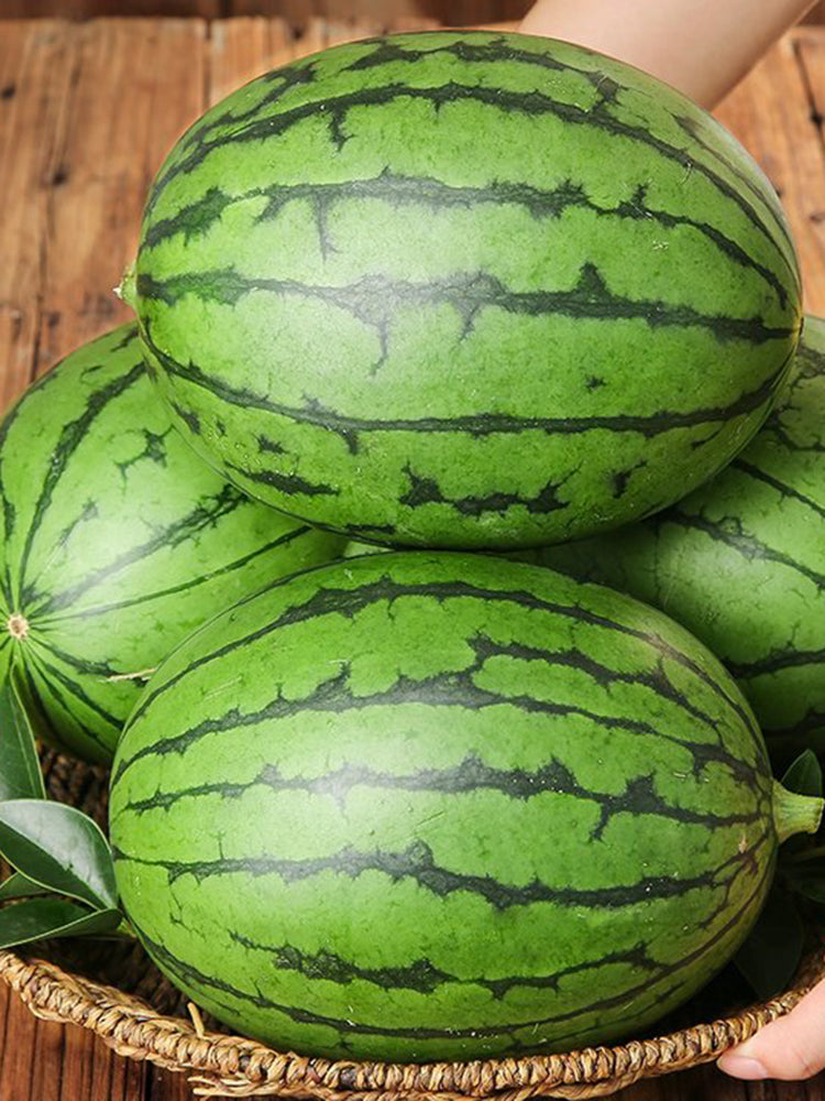 'Crimson Jewel' Red Flesh Watermelon