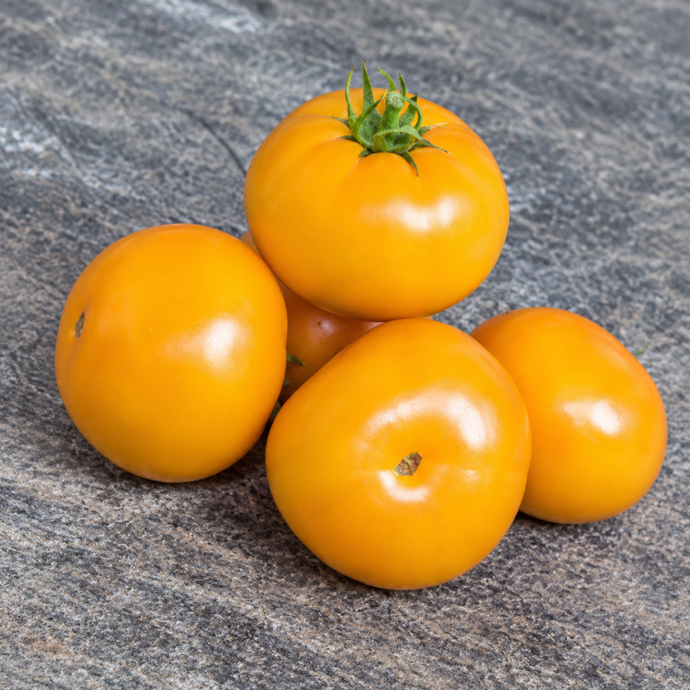 96 Cherokee Tiger Orange Dwarf Tomato