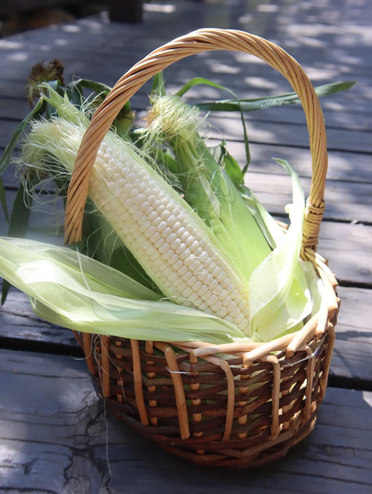 Jingbai Sweet-Waxy 968 Corn