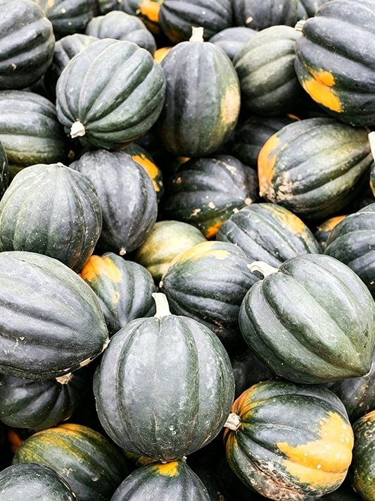 Acorn Squash