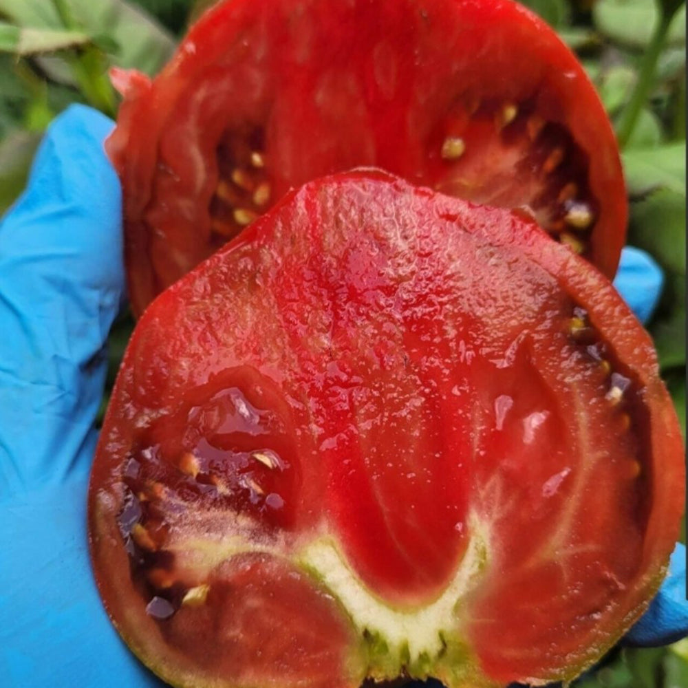 775 Reinhard's Purple Heart Tomato