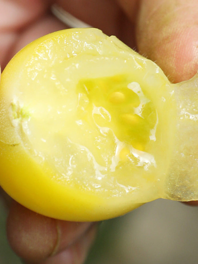 Yanbai No. 9 Cherry Tomato