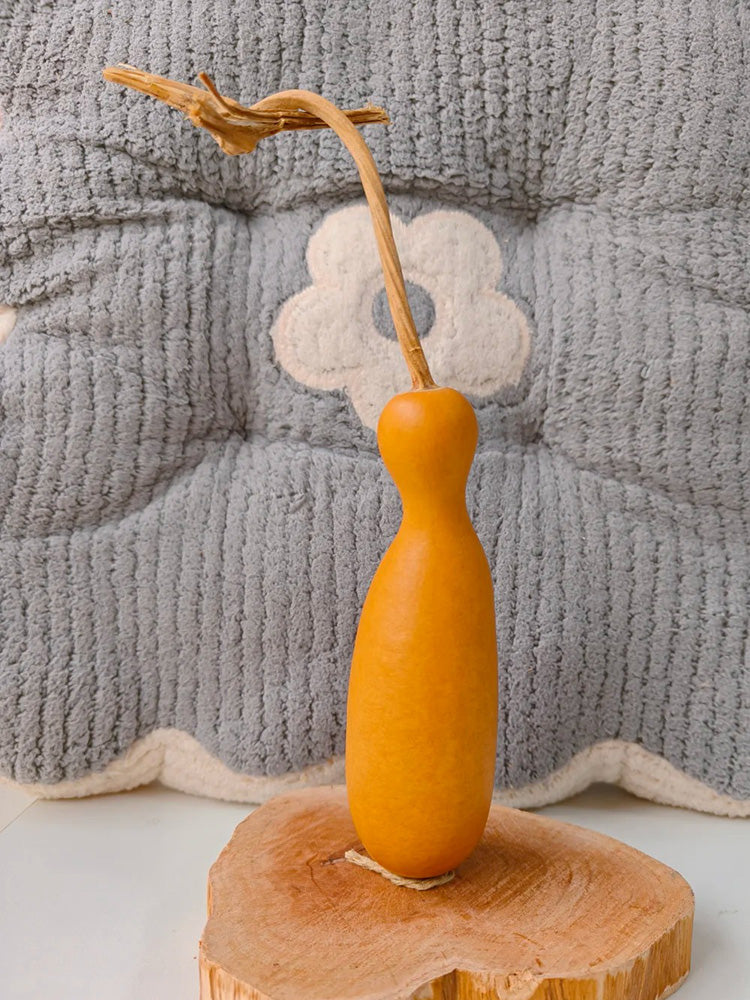 Flower Bottle Gourd
