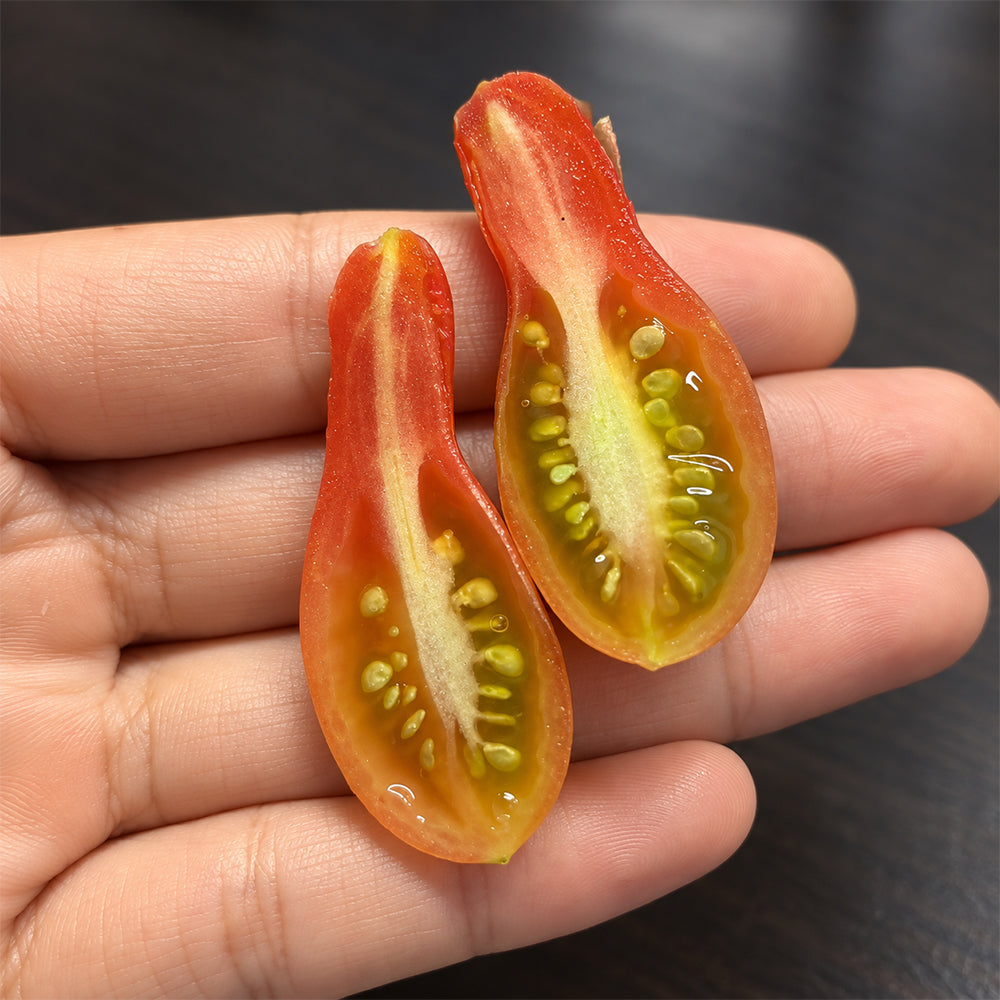 32 Elf's Tear F7 Tomato