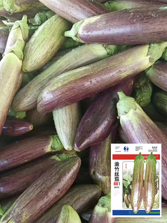 Yu Bamboo-Silk Eggplant No.881