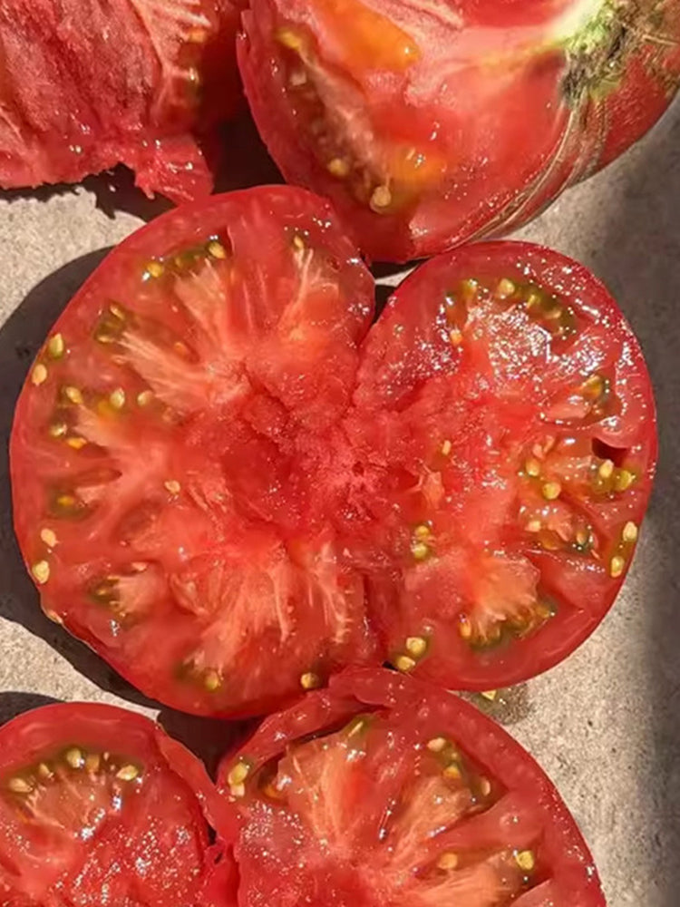 Krim Tomato