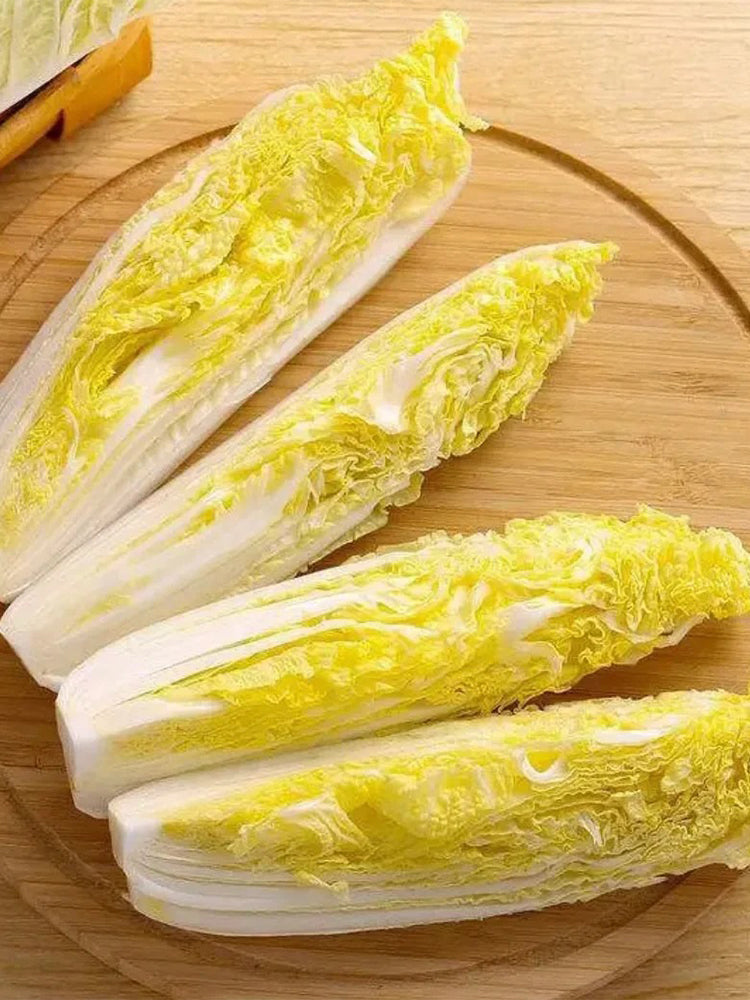 ‘Golden Pearl’ Baby Cabbage (Brassica rapa subsp. pekinensis)