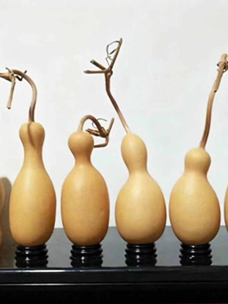 Flower Bottle Gourd