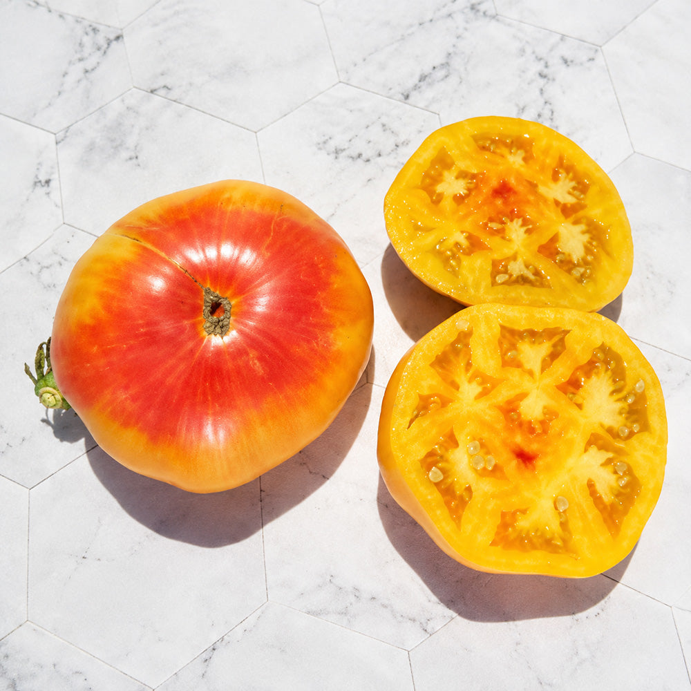 98 Mermaid Tomato