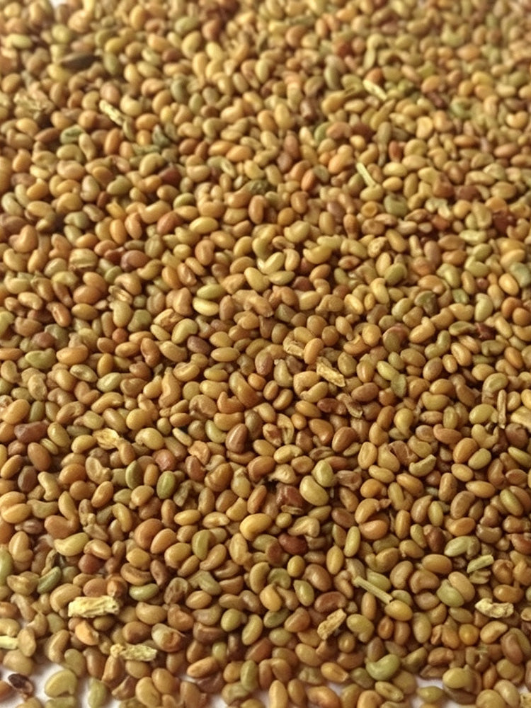 White Prairie Clover