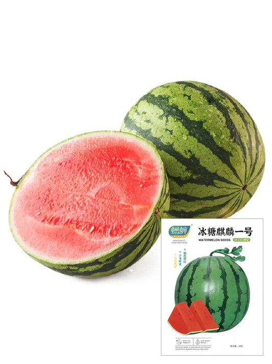 Rock Sugar Kirin No.1 Watermelon