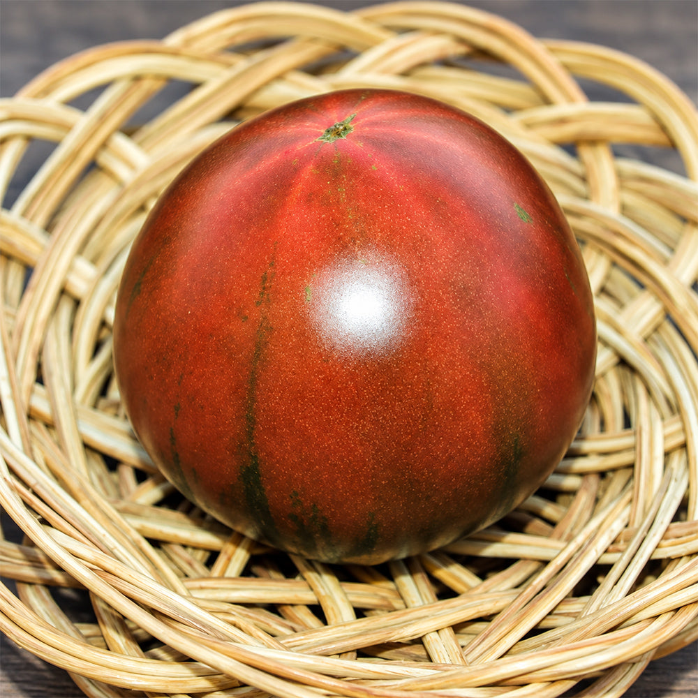 297 Perth Pride Dwarf Tomato
