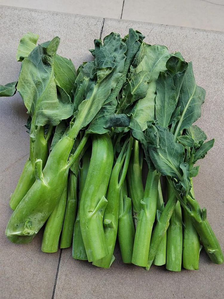 Yibao Japanese Mustard Greens