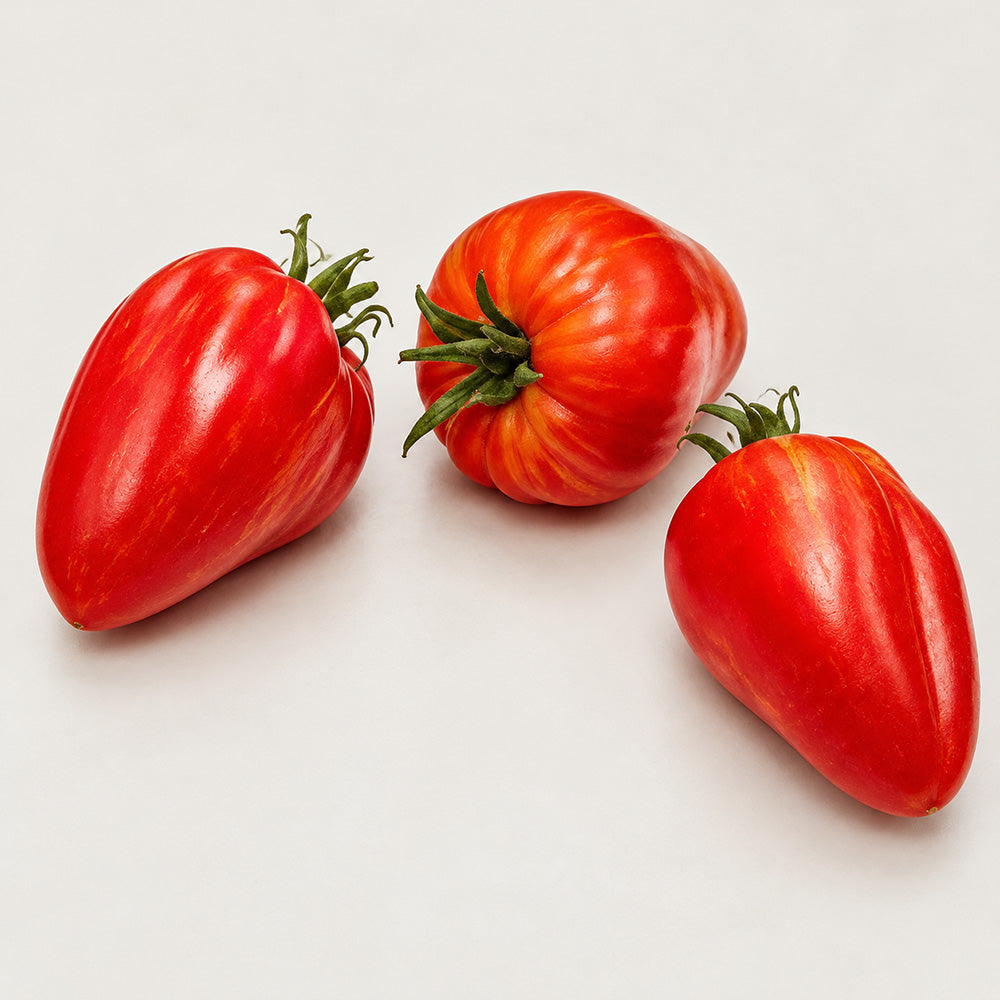 1125 Mrs. Houseworth Tomato