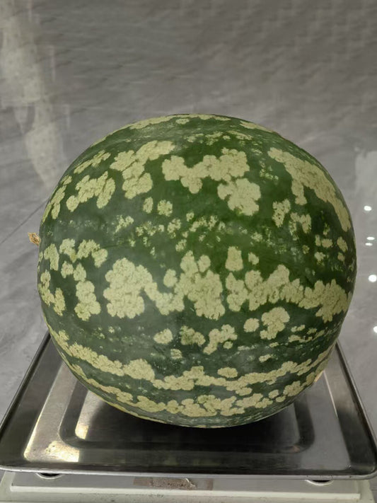Ya Zong Winter Melon