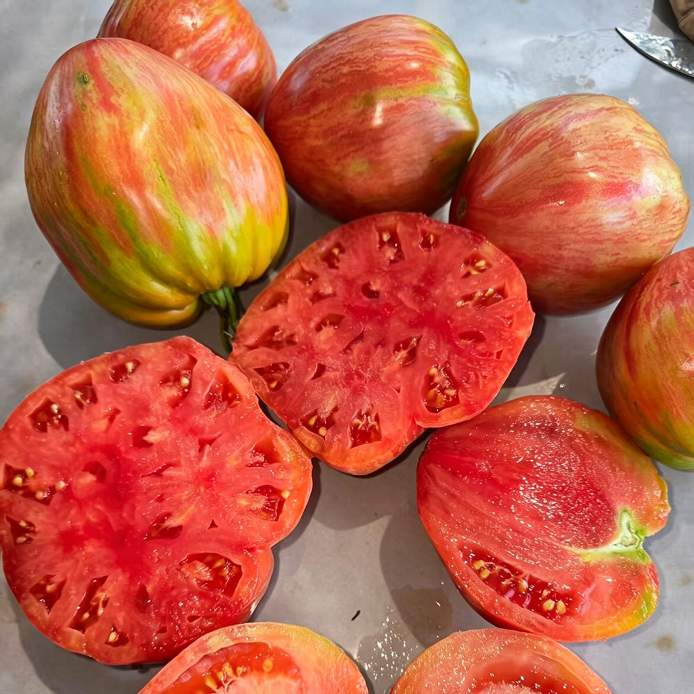 616 Long Tall Sally Tomato