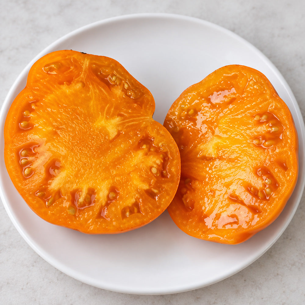 486 Peaches and Cream Tomato