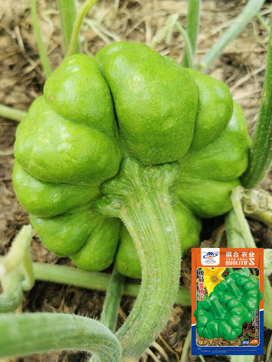 Qihe Agriculture Jiangbing Pumpkin