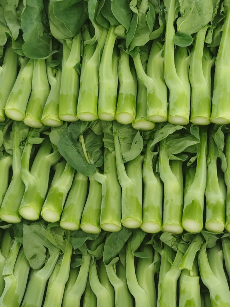 Dajinsun Chinese Kale