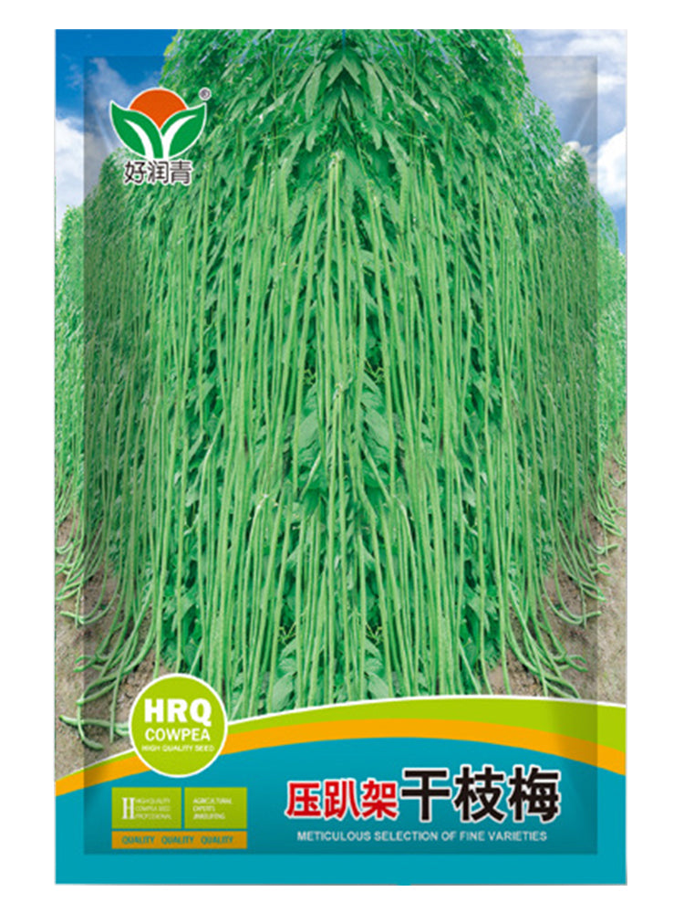 Ganzhimei Yardlong Beans