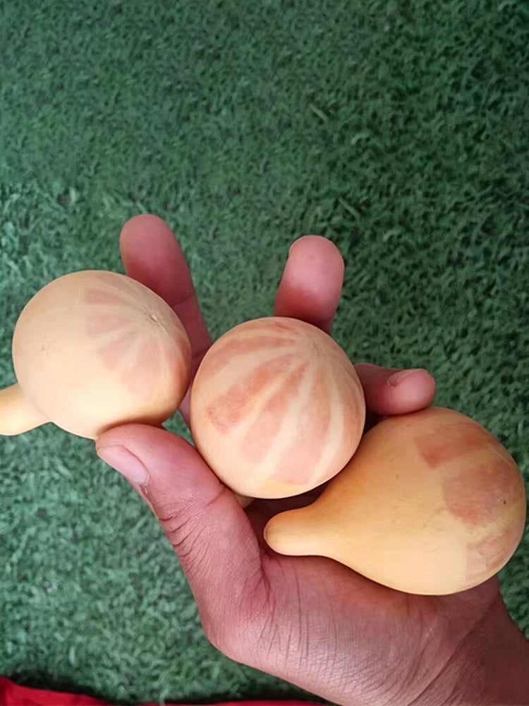 Microphone Gourd