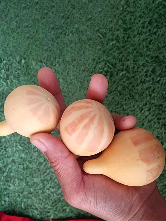 Microphone Gourd
