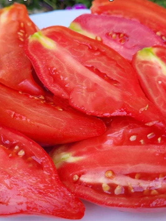 963 Sultan Pink Shoes Tomato