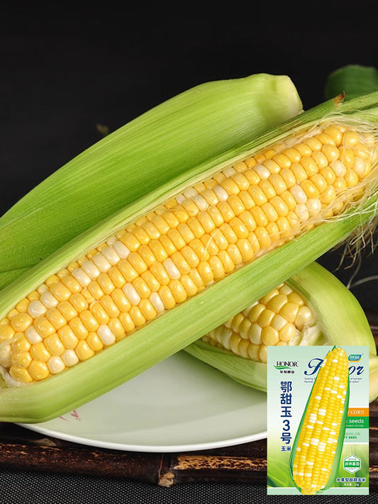 'Etianyu No.3' Corn