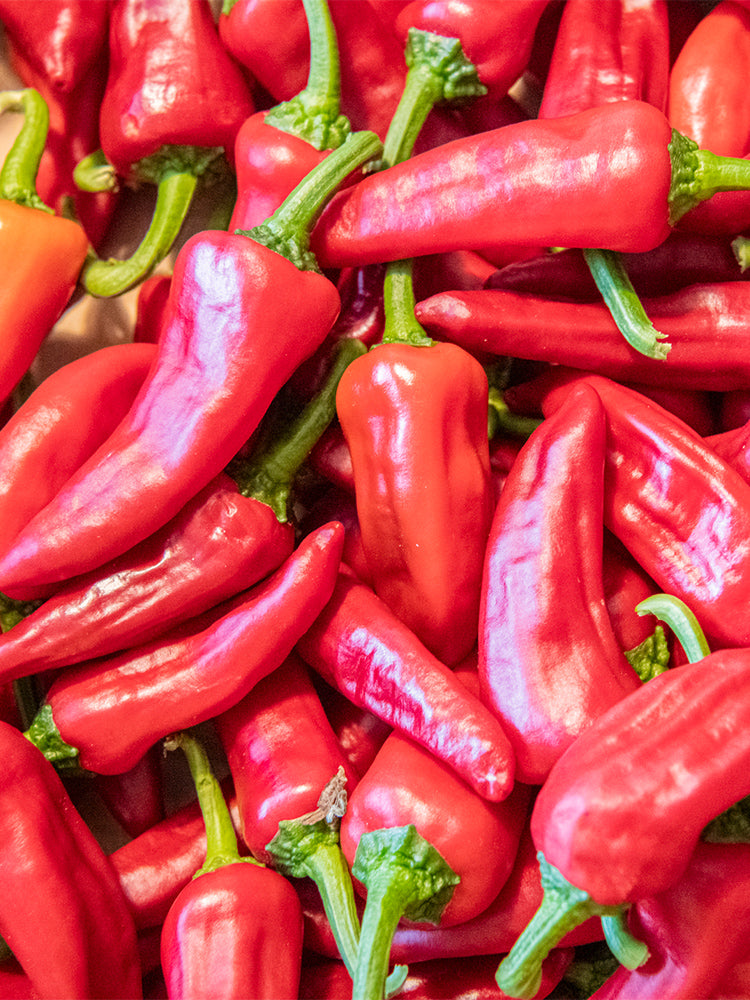 Syrian Has Goli Hot Pepper