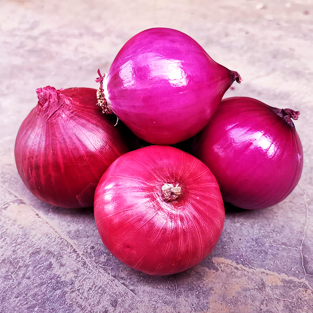 5 Bags (500 Seeds/Bag) of Exquisite Red Onion Seeds