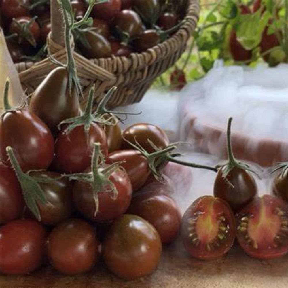706 Fairy Garnet Tomato
