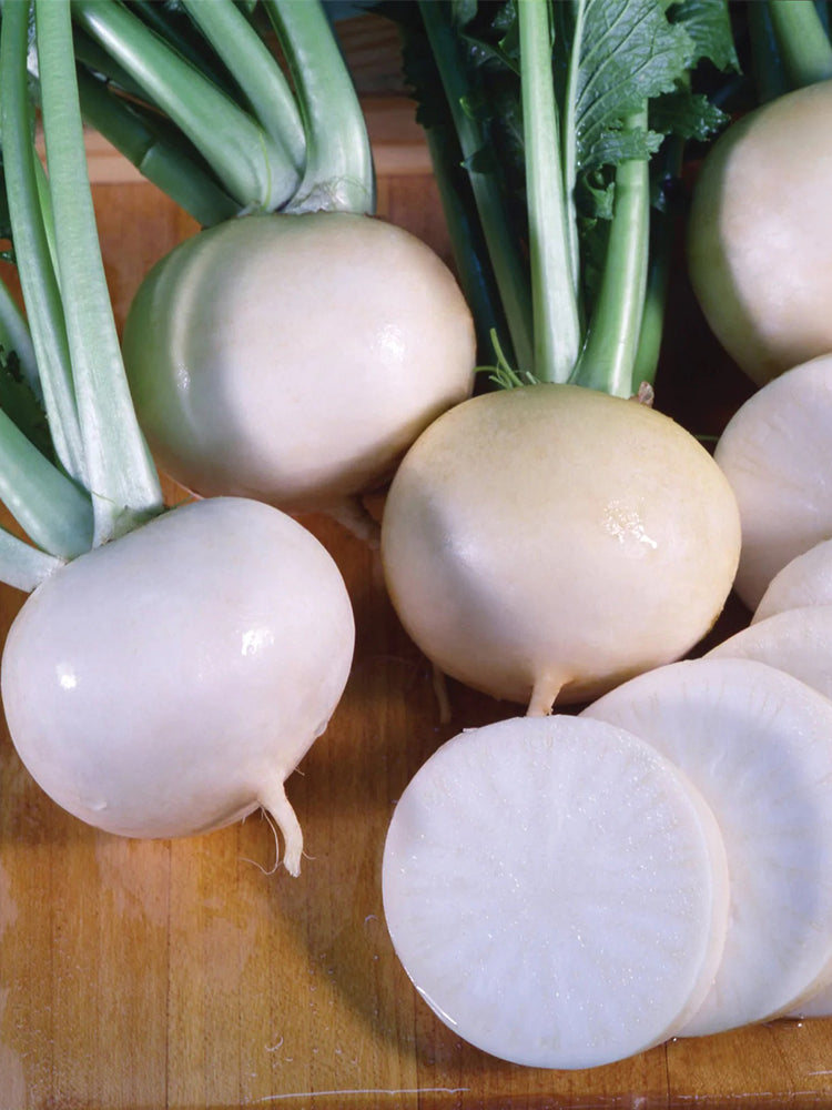 Xiatong No.2 F1 Turnip