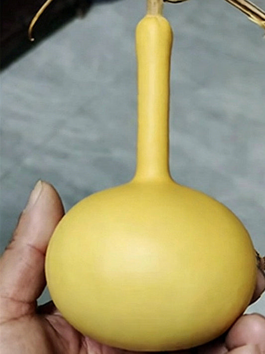 Small Long-handled Gourd