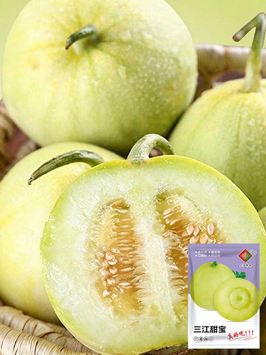 Sanjiang Tianbao Muskmelon