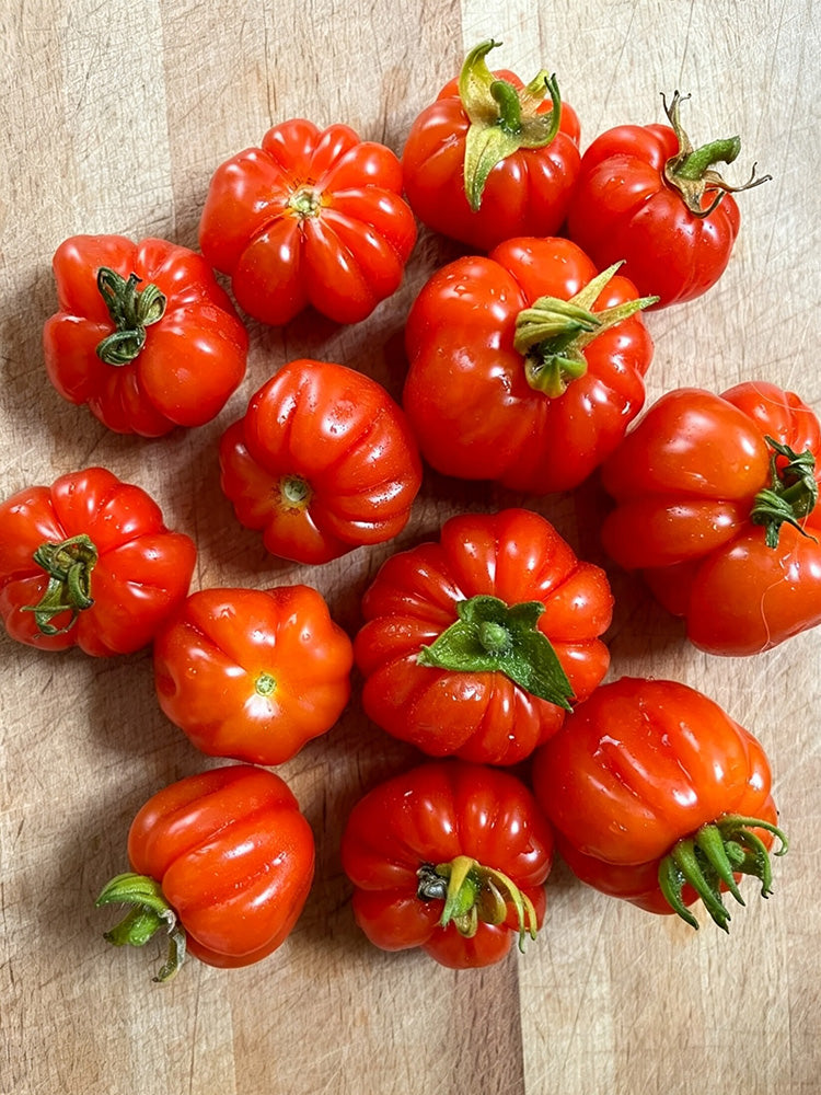 Accordion Cherry Tomato