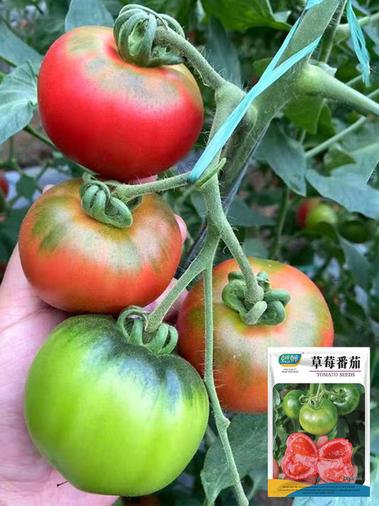 'Strawberry' Tomato