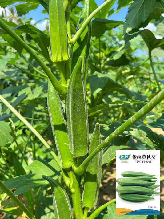 Traditional Okra