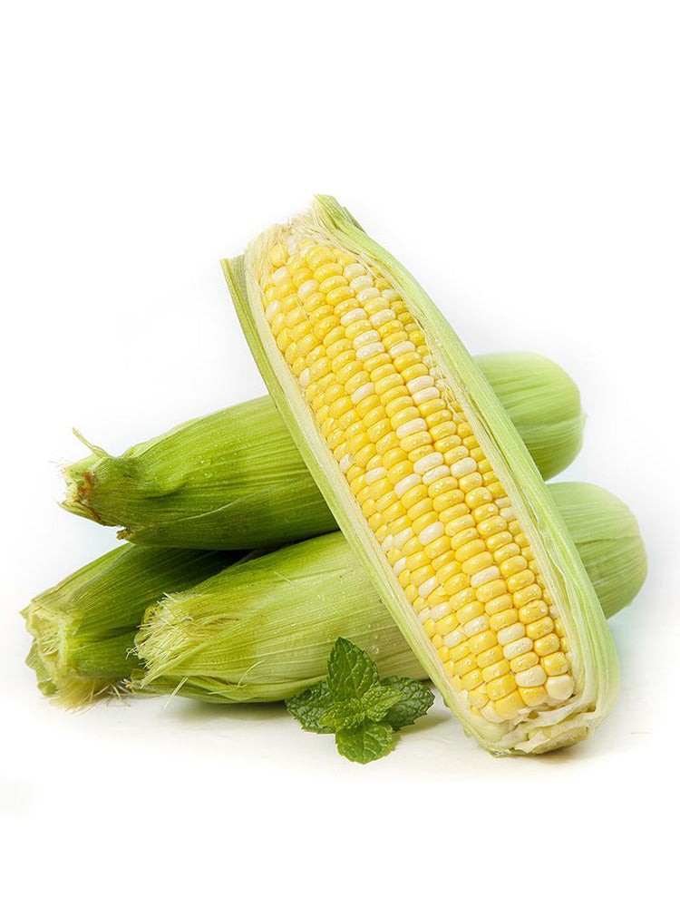 'Etianyu No.3' Corn